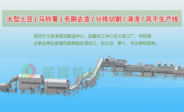 农安连续式土豆去皮清洗切割风干生产线